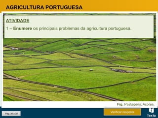 Fig. Pastagens, Açores.
Pág. 30 a 39
AGRICULTURA PORTUGUESA
ATIVIDADE
1 – Enumere os principais problemas da agricultura portuguesa.
Verificar resposta
 