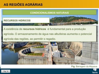 Fig. Barragem do Alqueva.
Pág. 16
CONDICIONALISMOS NATURAIS
RECURSOS HIDRICOS
AS REGIÕES AGRÁRIAS
A existência de recursos hídricos é fundamental para a produção
agrícola. O armazenamento de água nas albufeiras aumenta o potencial
agrícola das regiões, ao permitir o regadio.
 