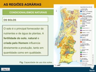 Pág. 17
O solo é o principal fornecedor de
nutrientes e de água às plantas. A
fertilidade do solo, natural e
criada pelo Homem influencia
diretamente a produção, tanto em
quantidade como em qualidade.
OS SOLOS
Fig. Capacidade de uso dos solos.
AS REGIÕES AGRÁRIAS
CONDICIONALISMOS NATURAIS
 