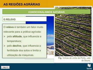 Fig. Serra da Estrela.
Pág. 17
O RELEVO
Fig. Vinhas de vinho do Porto, vale
do Douro.
O relevo é também um fator muito
relevante para a prática agrícola:
 pela altitude, que influencia a
temperatura;
 pelo declive, que influencia a
fertilidade dos solos e limita a
utilização de máquinas.
AS REGIÕES AGRÁRIAS
CONDICIONALISMOS NATURAIS
 