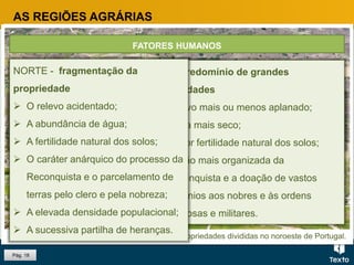Fig. Grande propriedade no Alentejo.Fig. Propriedades divididas no noroeste de Portugal.
Pág. 18
O passado histórico é um dos fatores que permite compreender a atual
ocupação e organização do solo e as diferenças que se verificam entre as
diversas regiões agrárias.
FATORES HUMANOS
PASSADO HISTÓRICO
AS REGIÕES AGRÁRIAS
SUL - predomínio de grandes
propriedades
 Relevo mais ou menos aplanado;
 Clima mais seco;
 Menor fertilidade natural dos solos;
 Feição mais organizada da
Reconquista e a doação de vastos
domínios aos nobres e às ordens
religiosas e militares.
NORTE - fragmentação da
propriedade
 O relevo acidentado;
 A abundância de água;
 A fertilidade natural dos solos;
 O caráter anárquico do processo da
Reconquista e o parcelamento de
terras pelo clero e pela nobreza;
 A elevada densidade populacional;
 A sucessiva partilha de heranças.
 