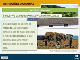 Fig. Plantação de chá, São Miguel.
Fig. Práticas agrícolas tradicionais.
Pág. 19
AS REGIÕES AGRÁRIAS
Quando a produção se destina
ao autoconsumo, as
explorações são geralmente de
menor dimensão e, muitas
vezes, continuam a utilizar
técnicas mais artesanais.
Se a produção se destina ao
mercado, as explorações
tendem a ser de maior dimensão
e mais especializadas, o que
contribui para uma maior
produtividade do trabalho e do
solo.
FATORES HUMANOS
O OBJETIVO DA PRODUÇÃO E AS PRÁTICAS UTILIZADAS
 