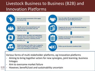 Scaling up animal source food production to sustainably meet growing demand in developing countries 
