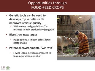 Scaling up animal source food production to sustainably meet growing demand in developing countries 