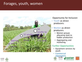 Scaling up animal source food production to sustainably meet growing demand in developing countries 