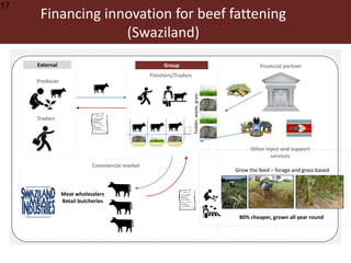 Scaling up animal source food production to sustainably meet growing demand in developing countries 
