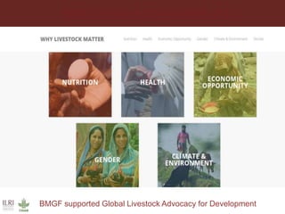 Scaling up animal source food production to sustainably meet growing demand in developing countries 