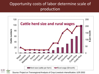 Scaling up animal source food production to sustainably meet growing demand in developing countries 