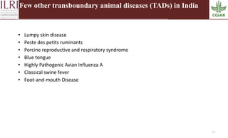 African swine fever: A most important transboundary animal disease of pigs of recent times in India and lessons learnt for addressing other exotic transboundary animal diseases