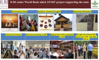 African swine fever: A most important transboundary animal disease of pigs of recent times in India and lessons learnt for addressing other exotic transboundary animal diseases