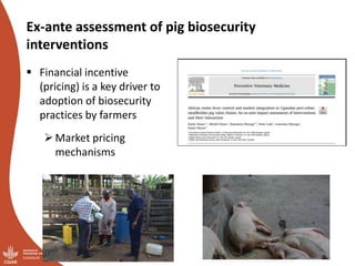 African swine fever prevention and control research in Uganda (2011-2018)