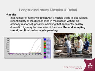 ASF Uganda-project progress update and implications thereof