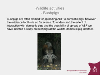 ASF Uganda-project progress update and implications thereof