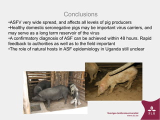 ASF Uganda-project progress update and implications thereof