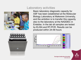 ASF Uganda-project progress update and implications thereof