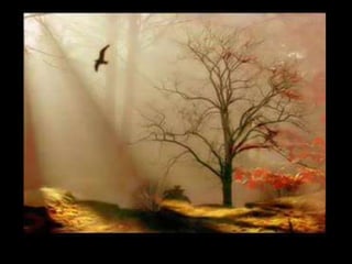 As funções da linguagem