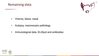 Recent advances in African swine fever vaccine development at the International Livestock Research Institute