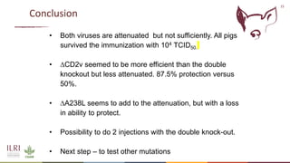 Recent advances in African swine fever vaccine development at the International Livestock Research Institute