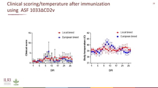 Recent advances in African swine fever vaccine development at the International Livestock Research Institute