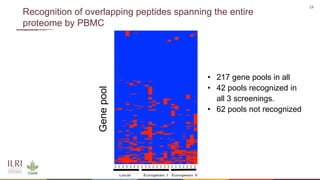 Recent advances in African swine fever vaccine development at the International Livestock Research Institute