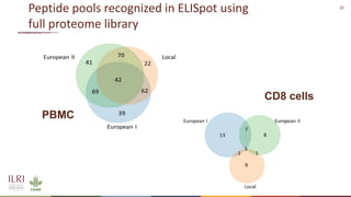 Recent advances in African swine fever vaccine development at the International Livestock Research Institute