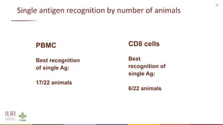 Recent advances in African swine fever vaccine development at the International Livestock Research Institute