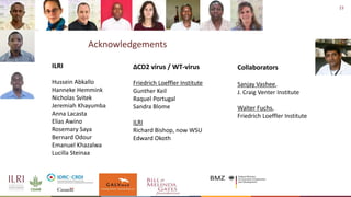 Recent advances in African swine fever vaccine development at the International Livestock Research Institute