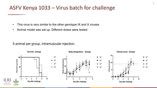 Recent advances in African swine fever vaccine development at the International Livestock Research Institute