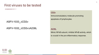 Recent advances in African swine fever vaccine development at the International Livestock Research Institute