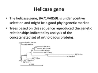 ASFV genome sequencing