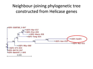 ASFV genome sequencing
