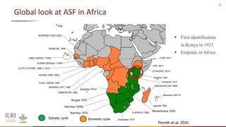 African swine fever epidemiology and control in smallholder pig systems: The value of One Health