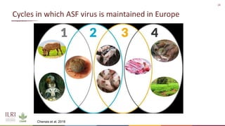 African swine fever epidemiology and control in smallholder pig systems: The value of One Health