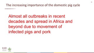 African swine fever epidemiology and control in smallholder pig systems: The value of One Health