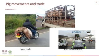 African swine fever epidemiology and control in smallholder pig systems: The value of One Health