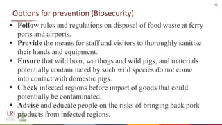 African swine fever epidemiology and control in smallholder pig systems: The value of One Health