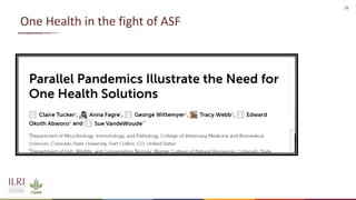 African swine fever epidemiology and control in smallholder pig systems: The value of One Health