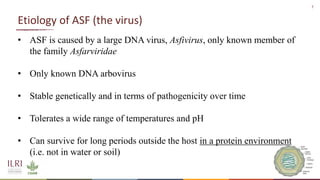 African swine fever epidemiology and control in smallholder pig systems: The value of One Health