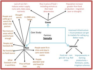 Lack of rain fall –              Rise in price of food –           Population increase
           reduces water supply,                including animals as              greater than food
           ruins soils, takes away                    their land                production – migration
                  nutrients                         deteriorates                   (war or drought)
                 Drought
People and        occurs    In 2000 rains
cattle go in                    failed
 search for
                                                      Cause
water and
  pasture

Too many on                                                                         Improved infrastructure
areas which                          Case Study:                                   – insure produce can get
used to have                                        Famine:                        to markets for selling e.g.
  enough                                            Somalia                              Better roads.

 People and
livestock die                                                                        Solution
                           Effect        People wont fit in
No livestock –                            cities and stay in
no food source                           cams were foods
                                                scares                    Food aid – non Improvements in
                                                                         gov aid –e.g. Red        farming
       What                               People                               cross          productivity –
 livestock is left                     abandon land                                         fertilisers, seeds,
                     Price of food     and head for
   is worthless                                                                            irrigation schemes
                         rises             city
 