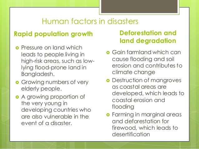 the impact of hazards essay