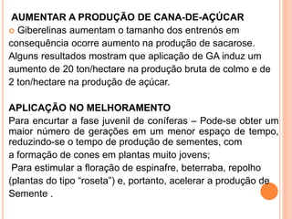 AUMENTAR A PRODUÇÃO DE CANA-DE-AÇÚCAR
 Giberelinas aumentam o tamanho dos entrenós em
consequência ocorre aumento na produção de sacarose.
Alguns resultados mostram que aplicação de GA induz um
aumento de 20 ton/hectare na produção bruta de colmo e de
2 ton/hectare na produção de açúcar.
APLICAÇÃO NO MELHORAMENTO
Para encurtar a fase juvenil de coníferas – Pode-se obter um
maior número de gerações em um menor espaço de tempo,
reduzindo-se o tempo de produção de sementes, com
a formação de cones em plantas muito jovens;
Para estimular a floração de espinafre, beterraba, repolho
(plantas do tipo “roseta”) e, portanto, acelerar a produção de
Semente .
 