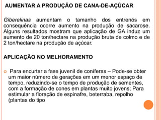 AUMENTAR A PRODUÇÃO DE CANA-DE-AÇÚCAR
Giberelinas aumentam o tamanho dos entrenós em
consequência ocorre aumento na produção de sacarose.
Alguns resultados mostram que aplicação de GA induz um
aumento de 20 ton/hectare na produção bruta de colmo e de
2 ton/hectare na produção de açúcar.
APLICAÇÃO NO MELHORAMENTO
 Para encurtar a fase juvenil de coníferas – Pode-se obter
um maior número de gerações em um menor espaço de
tempo, reduzindo-se o tempo de produção de sementes,
com a formação de cones em plantas muito jovens; Para
estimular a floração de espinafre, beterraba, repolho
(plantas do tipo
 