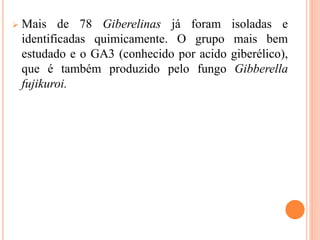  Mais de 78 Giberelinas já foram isoladas e
identificadas quimicamente. O grupo mais bem
estudado e o GA3 (conhecido por acido giberélico),
que é também produzido pelo fungo Gibberella
fujikuroi.
 