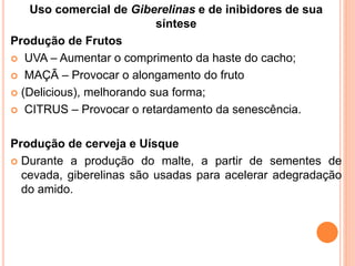 Uso comercial de Giberelinas e de inibidores de sua
síntese
Produção de Frutos
 UVA – Aumentar o comprimento da haste do cacho;
 MAÇÃ – Provocar o alongamento do fruto
 (Delicious), melhorando sua forma;
 CITRUS – Provocar o retardamento da senescência.
Produção de cerveja e Uísque
 Durante a produção do malte, a partir de sementes de
cevada, giberelinas são usadas para acelerar adegradação
do amido.
 