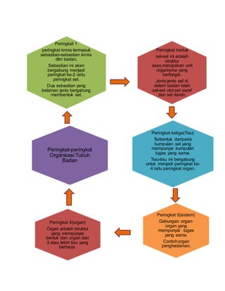 Peringkat kedua
sel-sel ini adalah
struktur
asas,merupakan unit
organisma yang
berfungsi.
Jenis-jenis sel di
dalam badan ialah
sel-sel otot,sel saraf
dan sel darah.
Peringkat 1
peringkat kimia termasuk
sebastian-sebastian kimia
dlm badan.
Sebastian ini akan
bergabung menjadi
peringkat ke-2 iaitu
peringkat sel.
Dua sebastian yang
belainan jenis bergabung
membentuk sel.
Peringkat-peringkat
Organisasi Tubuh
Badan
Peringkat ketiga(Tisu)
Terbentuk daripada
kumpulan sel yang
mempunyai kumpulan
tugas yang sama.
Tisu-tisu ini bergabung
untuk menjadi peringkat ke-
4 iaitu peringkat organ.
Peringkat 5(sistem)
Gabungan organ-
organ yang
mempunyai tugas
yang sama.
Contoh:organ
penghadaman.
Peringkat 4(organ)
Organ adalah struktur
yang mempunyai
bentuk dan organ dari
2 atau lebih tisu yang
berbeza.
 