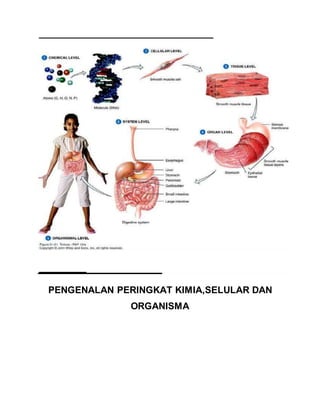 PENGENALAN PERINGKAT KIMIA,SELULAR DAN
ORGANISMA
 