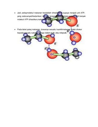  Jadi, setiapmolekul makanan hendaklah dihadamkan supaya menjadi unit ATP,
yang seterusnyadihadamkan menjadi tenaga dalam sukatan joule. Lebih banyak
molekul ATP dihasilkan,maka lebih tenaga dapat diperoleh.
 Pada label pakej makanan, biasanya sesuatu kuantitimakanan boleh ditukar
kepada sesuatu sukatan tenaga dalam joule atau kilojoule.
 