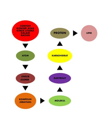 CONTOH
KONSEP ASAS
KIMIA UTAMA
DALAM
BADAN
ATOM
UNSUR
(ELEMEN)
KOMPOUN
(SEBATIAN)
MOLEKUL
ELEKTROLIT
KARBOHIDRAT
PROTEIN LIPID
 