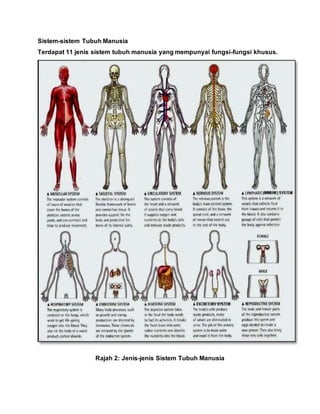Sistem-sistem Tubuh Manusia
Terdapat 11 jenis sistem tubuh manusia yang mempunyai fungsi-fungsi khusus.
Rajah 2: Jenis-jenis Sistem Tubuh Manusia
 