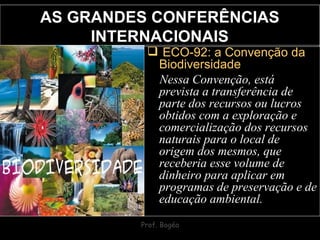 AS GRANDES CONFERÊNCIAS INTERNACIONAIS ECO-92: a Convenção da Biodiversidade Nessa Convenção, está prevista a transferência de parte dos recursos ou lucros obtidos com a exploração e comercialização dos recursos naturais para o local de origem dos mesmos, que receberia esse volume de dinheiro para aplicar em programas de preservação e de educação ambiental. 